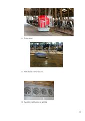 Šiuolaikinis ūkis 12 puslapis