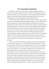 Demokratijos deficito problema 2 puslapis