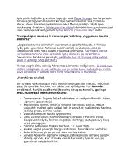 Icchokas Meras. „Lygiosios trunka akimirką“ analizė 2 puslapis