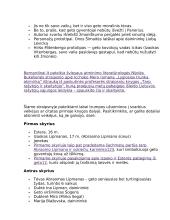 Icchokas Meras. „Lygiosios trunka akimirką“ analizė 3 puslapis