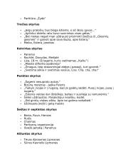 Icchokas Meras. „Lygiosios trunka akimirką“ analizė 4 puslapis