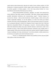 Demokratijos etapai Lietuvoje 6 puslapis