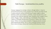 Europos sąjunga. Pristatymai 3 puslapis