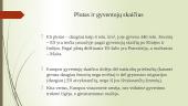 Europos sąjunga. Pristatymai 8 puslapis