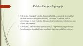 Europos sąjunga. Pristatymai 9 puslapis