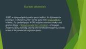 NATO pristatymas 4 puslapis
