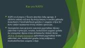 NATO pristatymas 5 puslapis