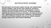 Darbuotojų instruktavimas ir instruktažas darbo vietoje 3 puslapis