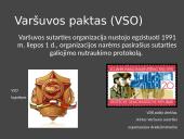 Ant Europos nusileidžia „geležinė uždanga“ 15 puslapis