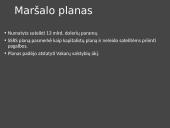 Ant Europos nusileidžia „geležinė uždanga“ 9 puslapis