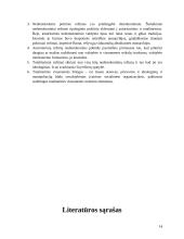 Demokratinių ir nedemokratinių politinių režimų savybės 14 puslapis