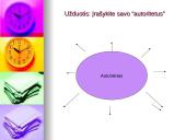 Skaidrės apie autoritetą 13 puslapis
