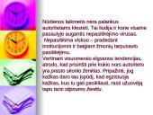 Skaidrės apie autoritetą 7 puslapis