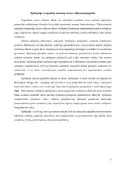 Psichologijos esė apie epilepsiją 4 puslapis