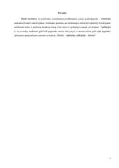 Psichologijos esė apie epilepsiją 6 puslapis