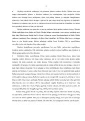 Atvejo analizė - „Musių valdovas“ 3 puslapis