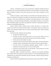 Derybų darbotvarkė 4 puslapis