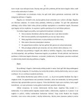 Derybų darbotvarkė 8 puslapis