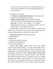 Derybų eiga 12 puslapis