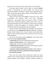 Derybų eiga 13 puslapis