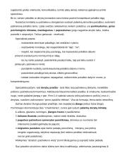 Derybų eiga 7 puslapis