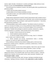 Derybų eiga 8 puslapis