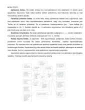 Derybų eiga 10 puslapis