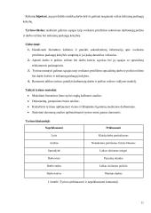  sveikatos priežiūros sektoriaus darbuotojų poilsio ir darbo režimo sąsajos su teikiamų paslaugų kokybe  9 puslapis