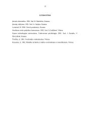 Derybų etika 13 puslapis