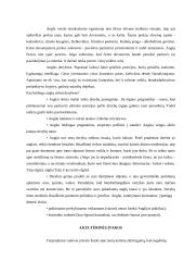 Derybų ypatybės Didžiojoje Britanijoje 5 puslapis