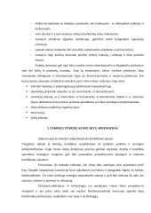 Derybų ypatybės Didžiojoje Britanijoje 6 puslapis