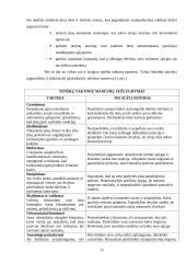 Derybų menas ir rūšys 12 puslapis