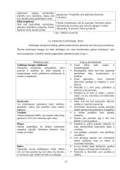 Derybų menas ir rūšys 13 puslapis