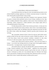 Derybų menas ir rūšys 6 puslapis