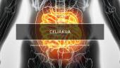 Celiakija  – lėtinė plonosios žarnos liga