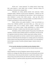 Derybų meno samprata 17 puslapis