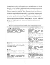 Derybų meno samprata 8 puslapis