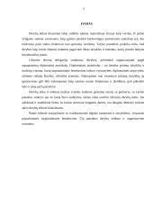 Derybų organizavimas ir derybų etika 2 puslapis