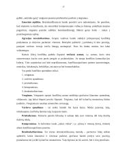 Derybų organizavimas ir derybų etika 17 puslapis