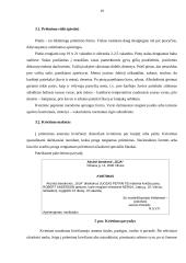 Derybų organizavimas ir derybų etika 19 puslapis