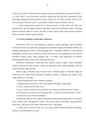 Derybų organizavimas ir derybų etika 20 puslapis