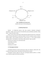 Derybų organizavimas ir derybų etika 8 puslapis