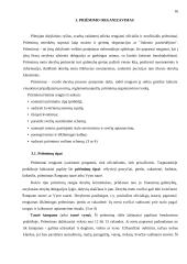 Derybų organizavimas ir vedimas: baldų firma "Ąžuolas" 16 puslapis