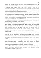 Derybų organizavimas ir vedimas: baldų firma "Ąžuolas" 17 puslapis