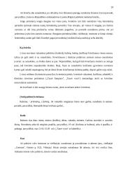 Derybų organizavimas ir vedimas: baldų firma "Ąžuolas" 20 puslapis