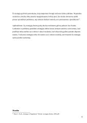 Derybų pozicijų formavimas ir strategija 12 puslapis