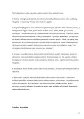 Derybų pozicijų formavimas ir strategija 13 puslapis