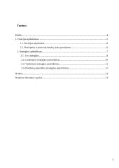 Derybų pozicijų formavimas ir strategija 3 puslapis