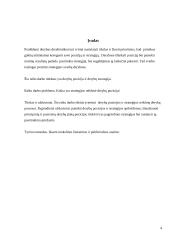 Derybų pozicijų formavimas ir strategija 4 puslapis