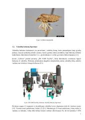 Vabzdžių baltymai 7 puslapis